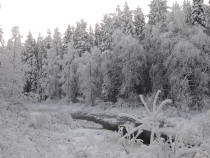 20191110_144210